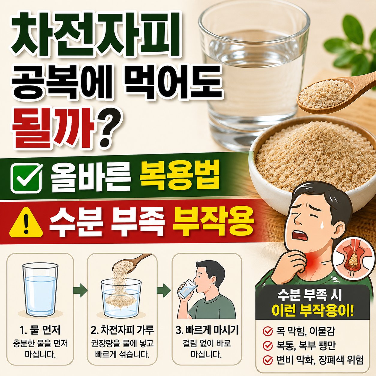 차전자피 공복에 먹어도 될까