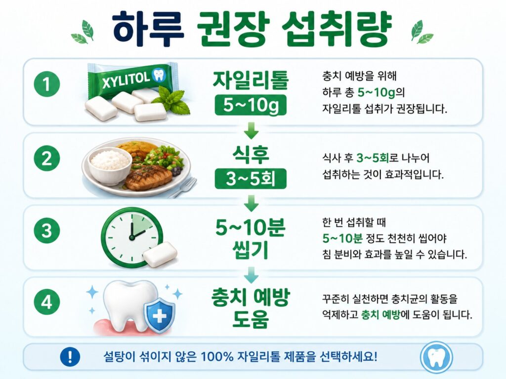자일리톨 하루 권장섭취량
