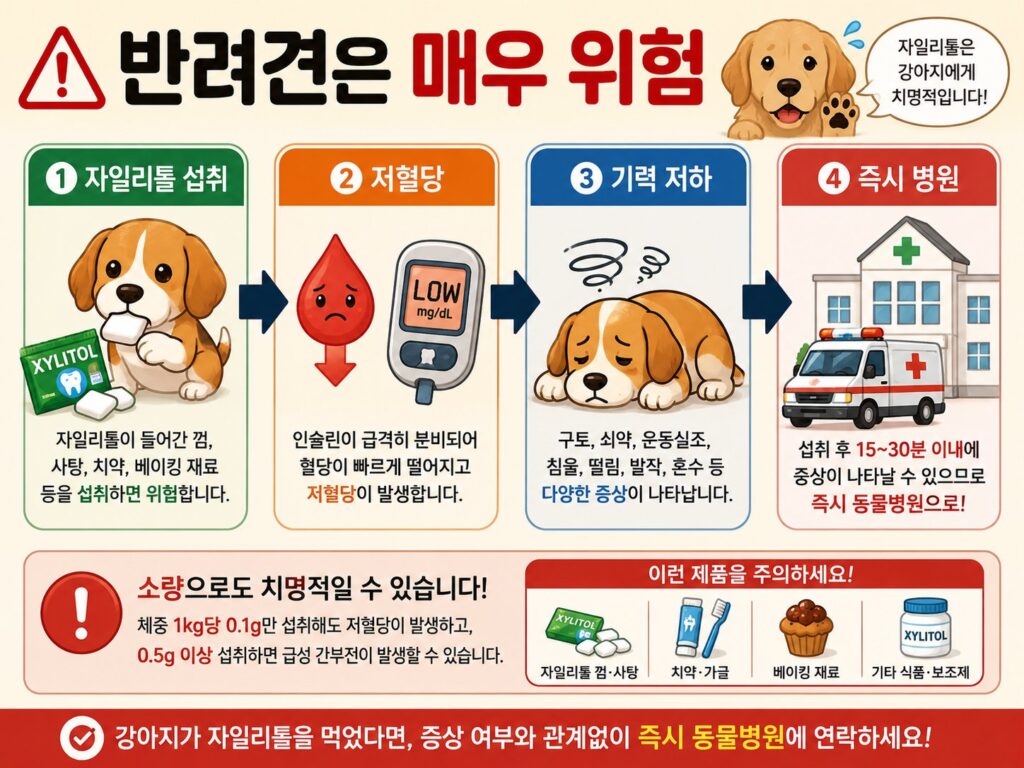 자일리톨 섭취 반려견은 위험