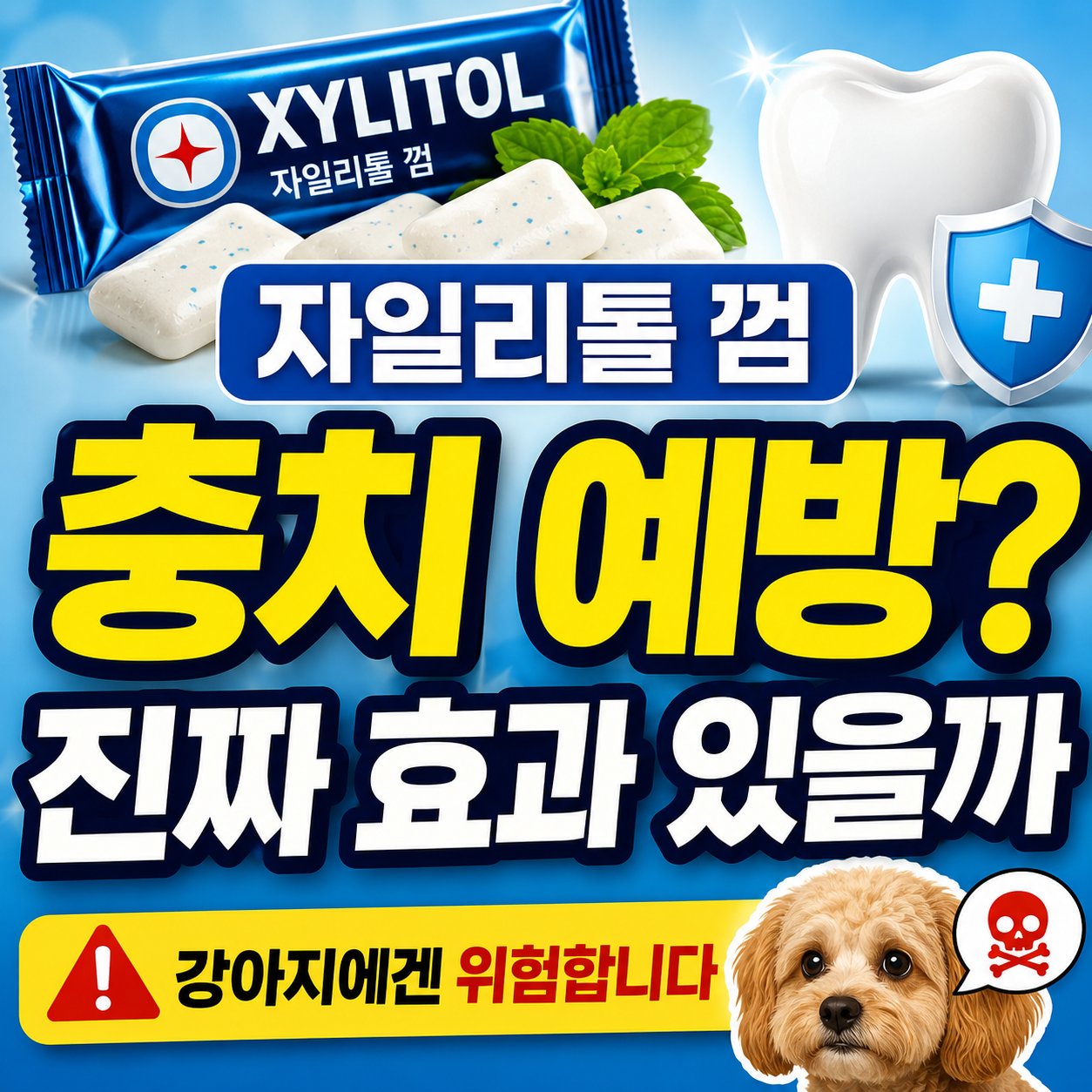 자일리톨껌 충치예방 진짜 효과 있을까
