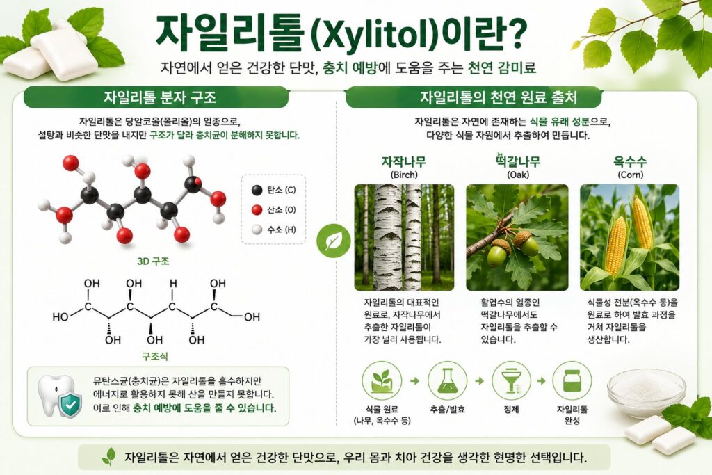 자일리톨이란