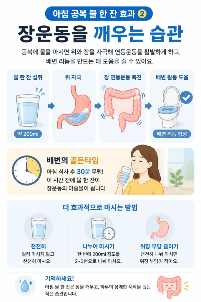 장운동을 깨우는 습관